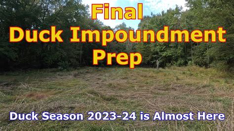 duck impoundment with skid steer|Creating flood able Duck Hunting food plot/Impoundment Day 3 .